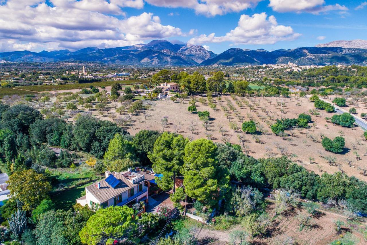 Ideal Property Mallorca - Madona - Es Puig Konuk evi Búger Dış mekan fotoğraf